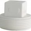 Lasco Fittings 2 Inch PVC Plug DWV FPV P-2 - D106020BC - PVC Fittings